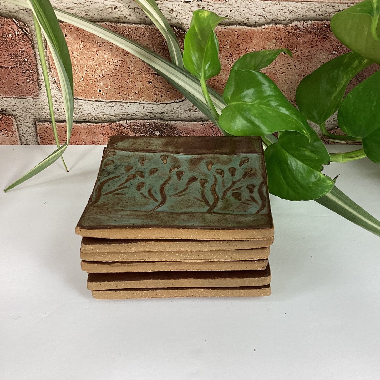 Hazel Tree Coasters